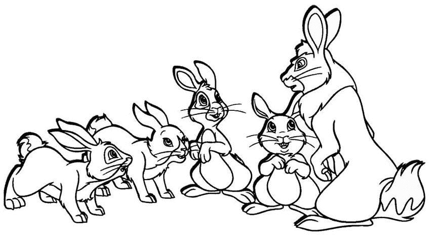 coloriage famille lapin