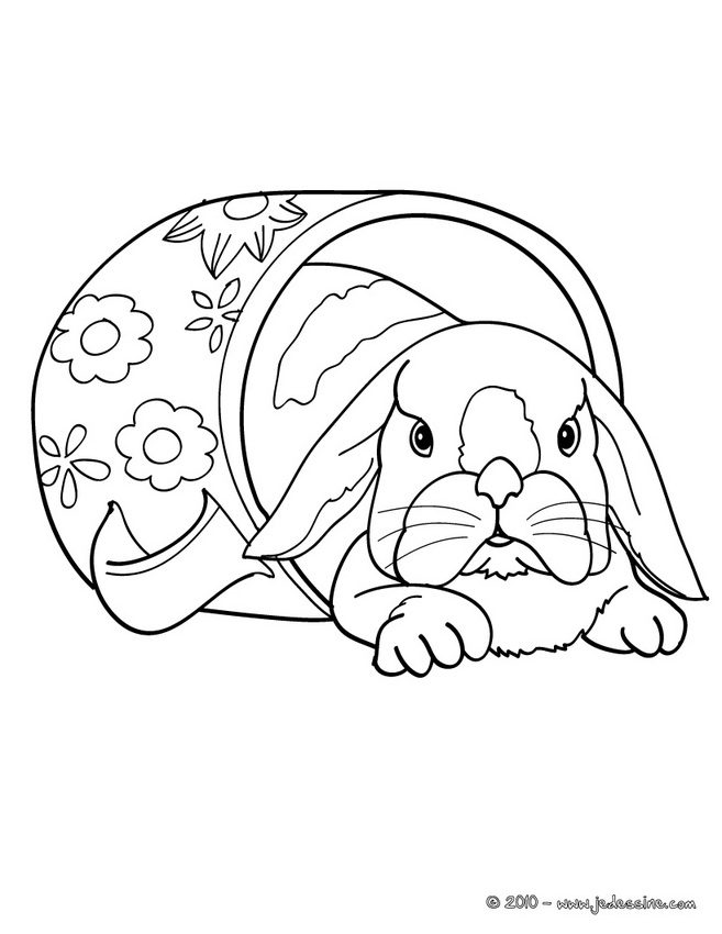 coloriage famille lapin