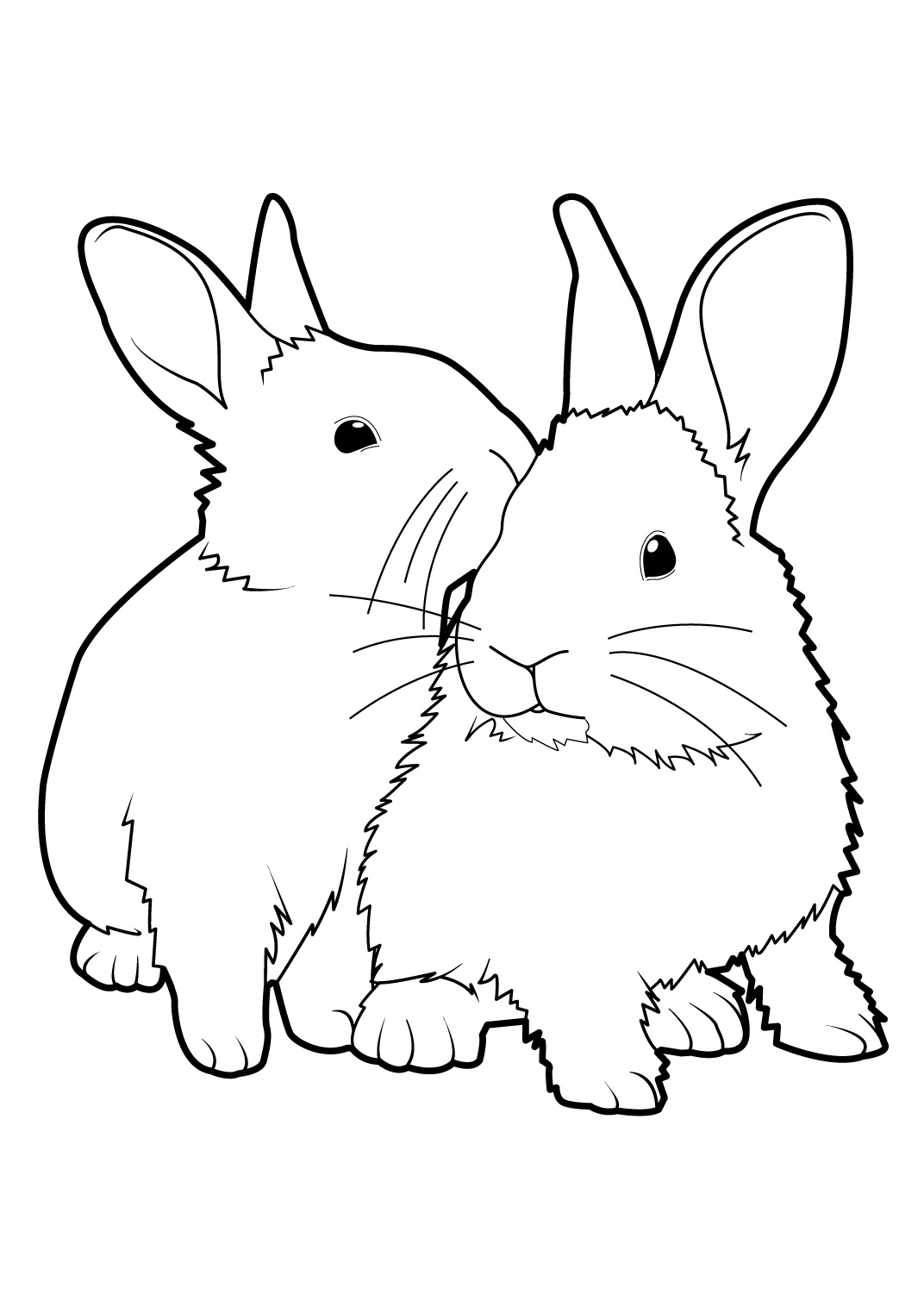 Élégant Coloriage De Lapin Et Chat A Imprimer