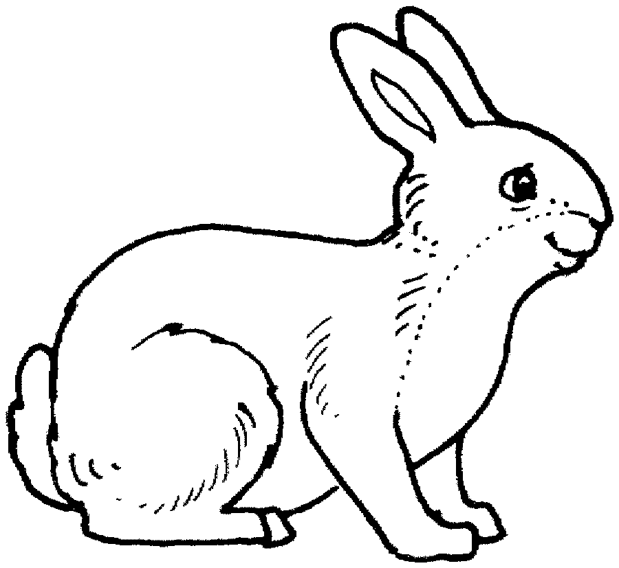 coloriage lapin bebe