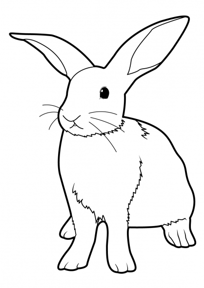 coloriage de lapin sur ordinateur