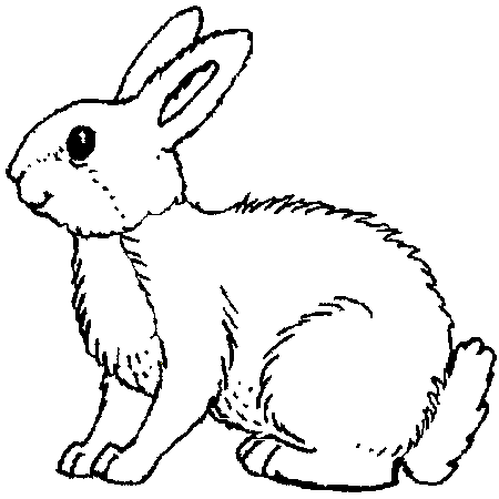 coloriage pierre lapin