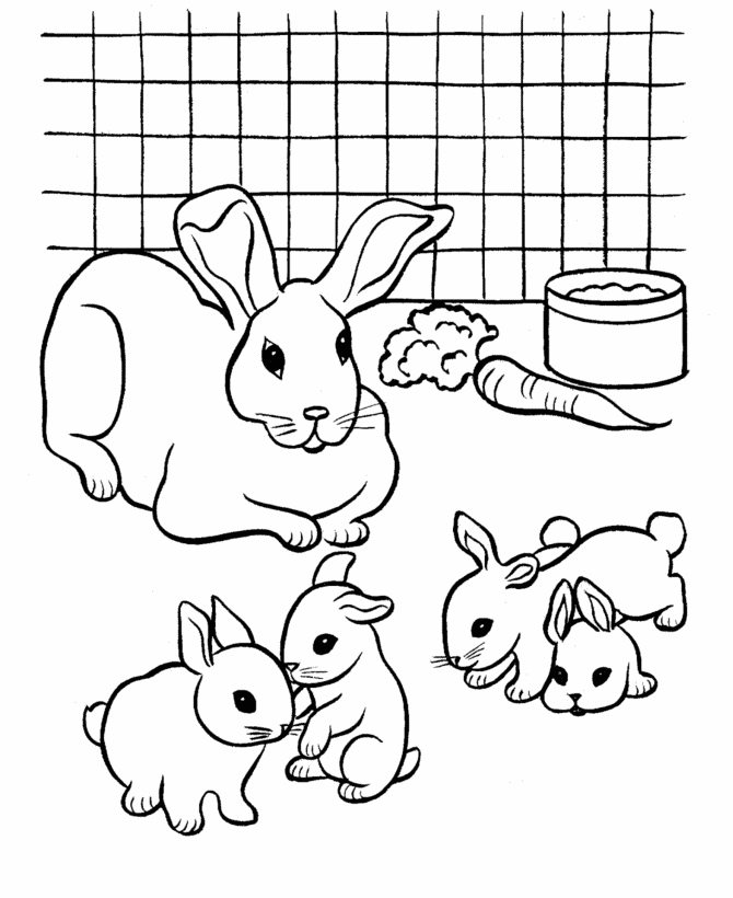 coloriage un lapin