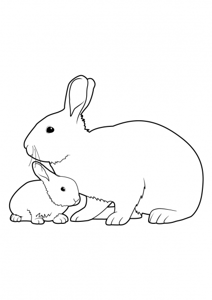 coloriage lapin rigolo