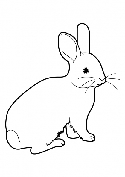 coloriage lapin de garenne