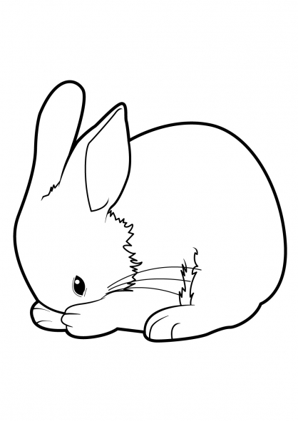 coloriage a imprimer lapin nain