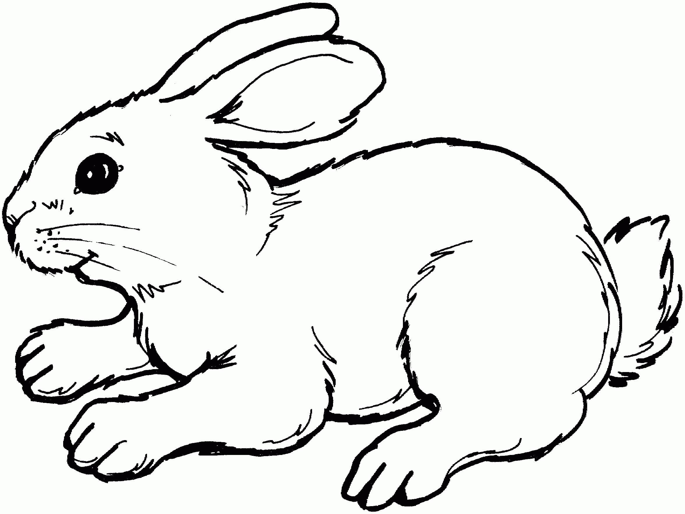 Coloriage d'un lapin de paques