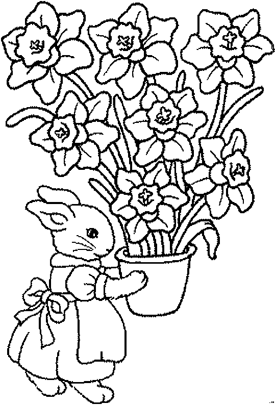 coloriage d'un petit lapin