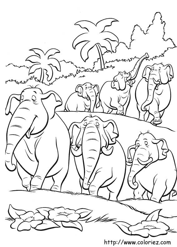 coloriage à dessiner à imprimer gratuit le livre de la jungle