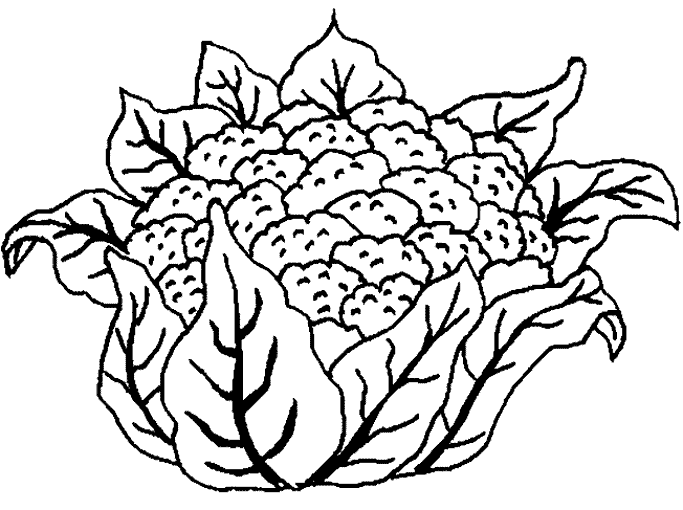 coloriage à dessiner legume fruit imprimer