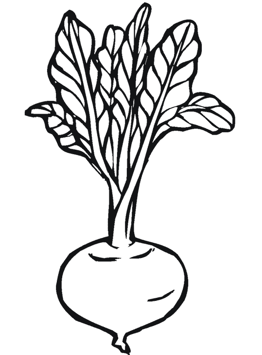 dessin à colorier à imprimer legumes