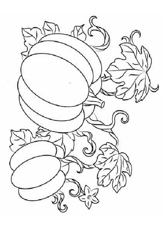 99 dessins de coloriage Légumes D automne à imprimer coloriage legumes dautomne