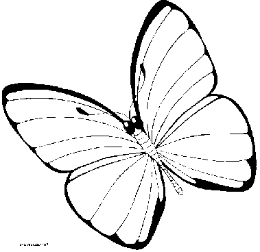 coloriage à dessiner d'une libellule