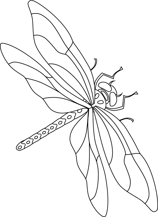 coloriage à dessiner à imprimer libellule
