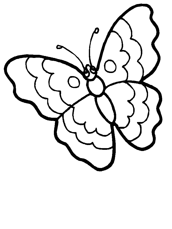 dessin libellules gratuit