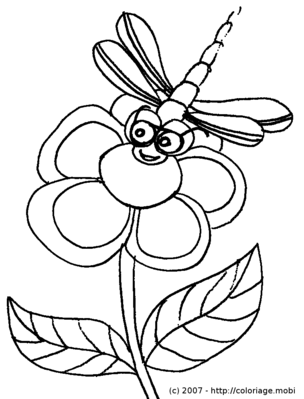 dessin à colorier libellules gratuit