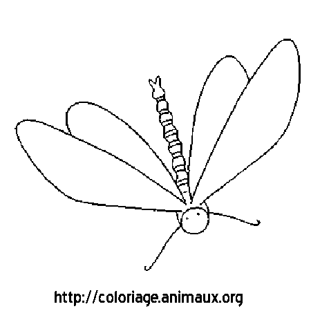 coloriage à dessiner magique libellule