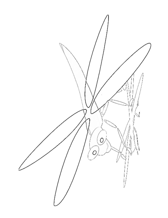 dessin de libellule