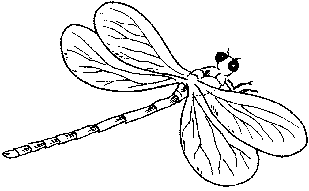 dessin coloriage libellule