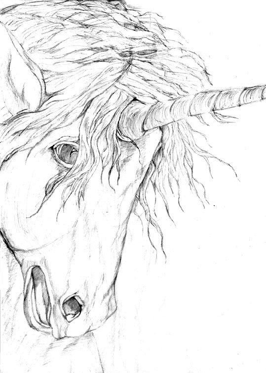 dessin de licorne et de pgase a imprimer