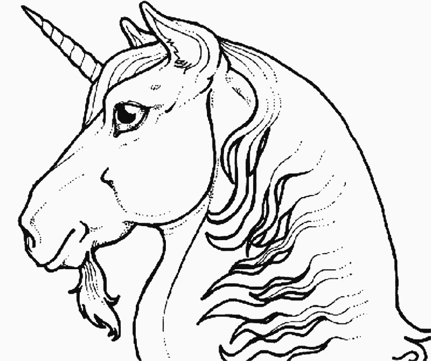 dessin licorne onchao