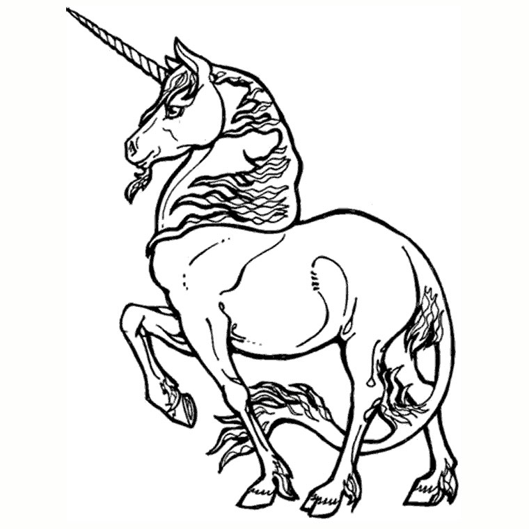 dessin licorne à imprimer