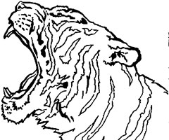 19 dessins de coloriage Lion Et Tigre à imprimer