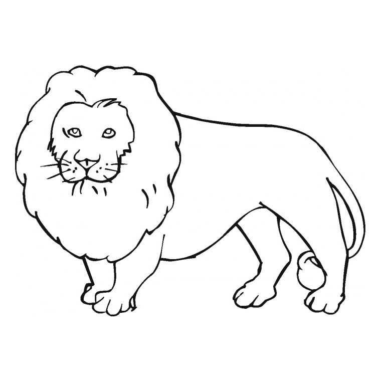 coloriage à dessiner lion facile