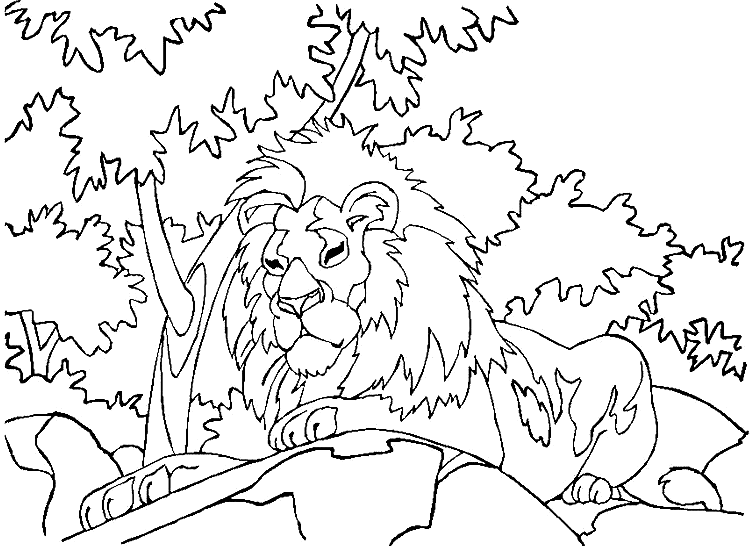 coloriage lion imprimer