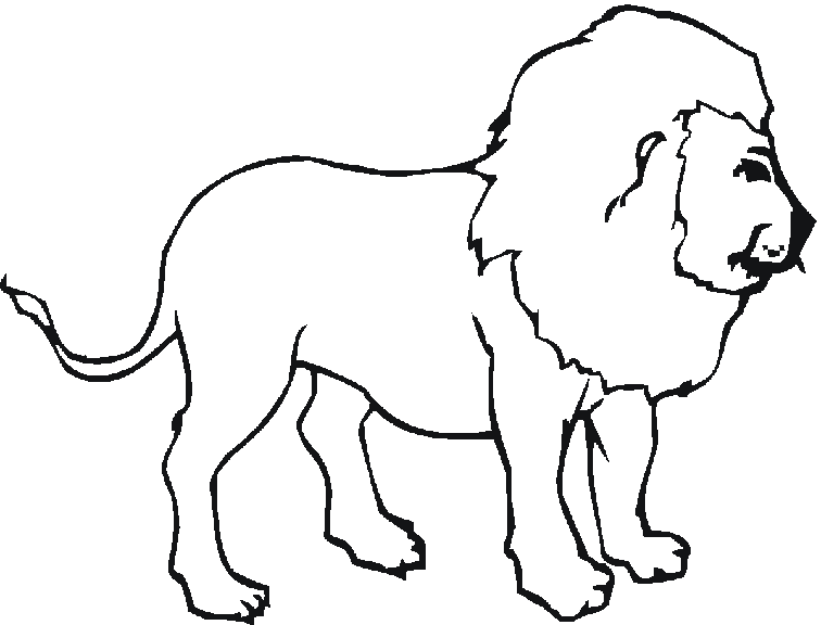 dessin � colorier bebe lion a imprimer