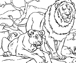 dessin à colorier roi lion hugo l'escargot