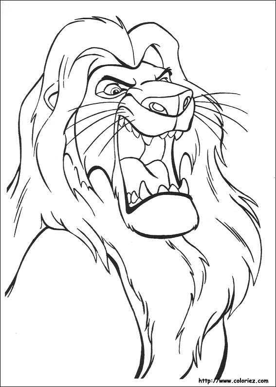 dessin roi lion nala
