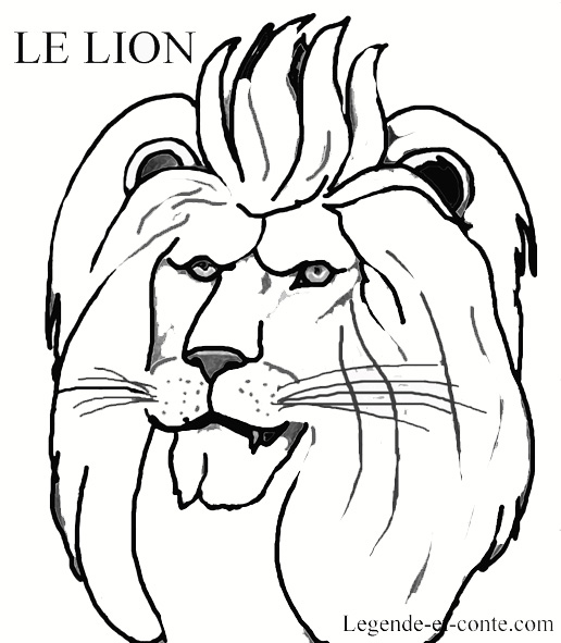 dessin mandala lion à imprimer