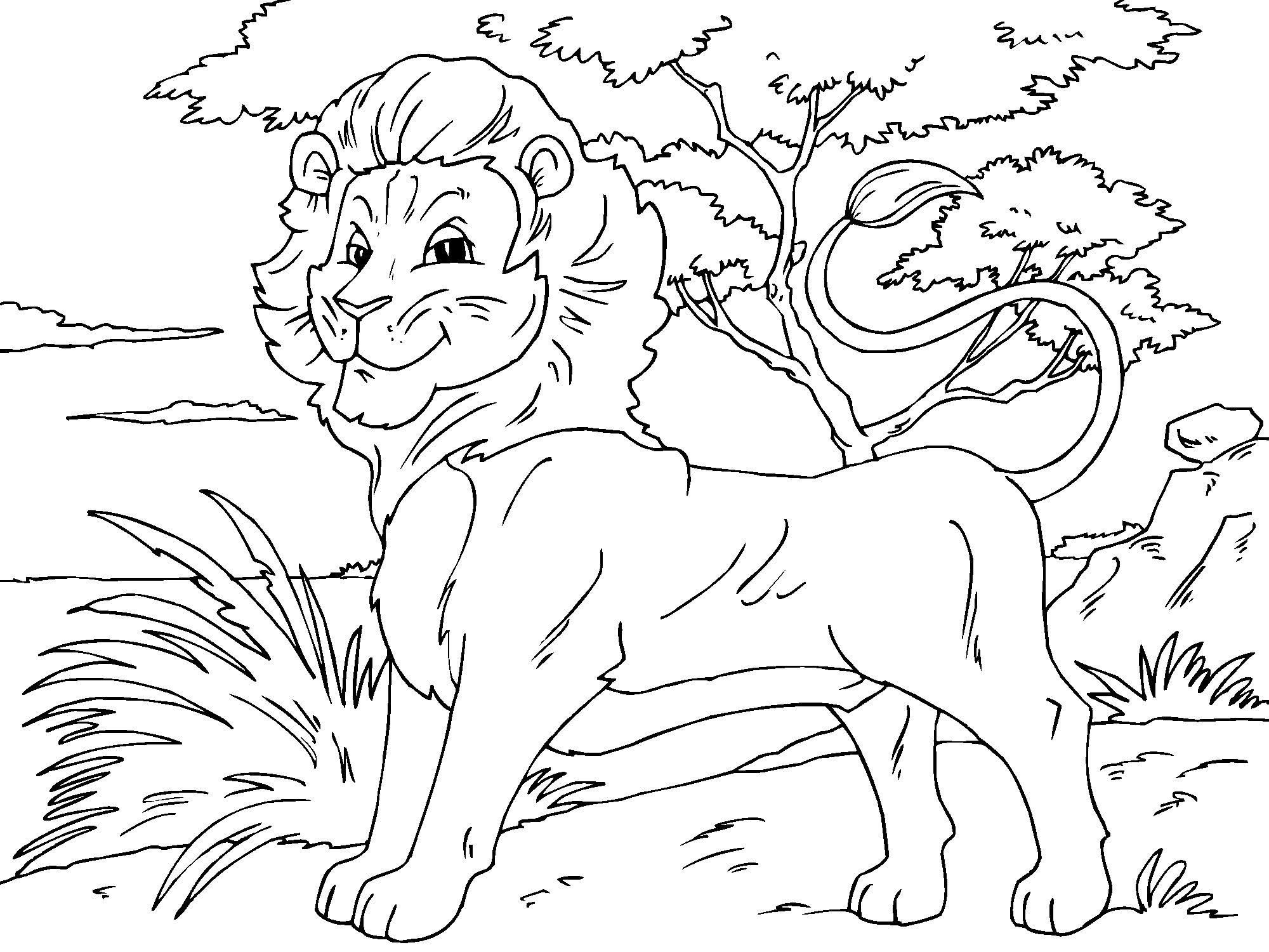 dessin roi lion mufasa