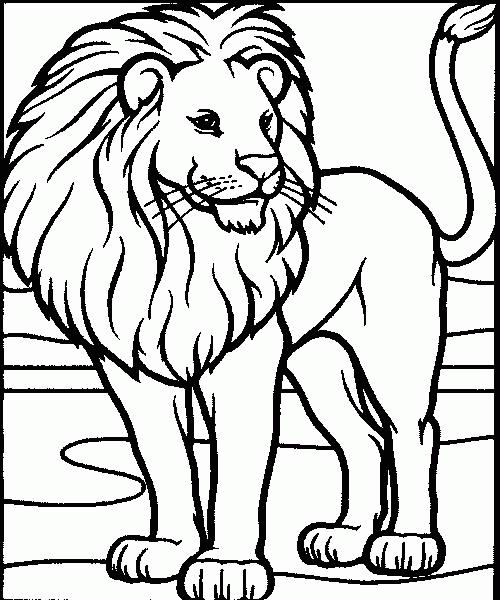 coloriage à dessiner de lion en couleur