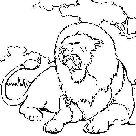 dessin à colorier mandala lion