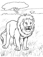 coloriage à dessiner roi lion 3