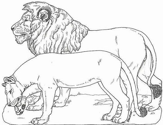 coloriage lion et rat