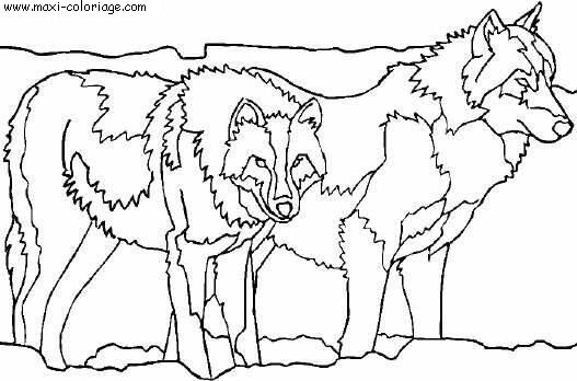 Coloriage d'Halloween à imprimer pour les enfants, Le loup garou 