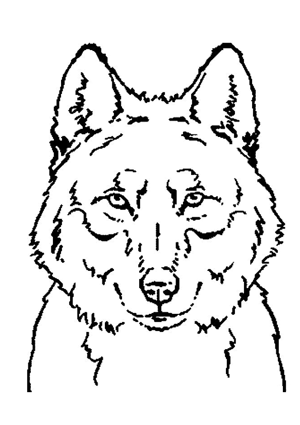 coloriage loup 7 chevreaux