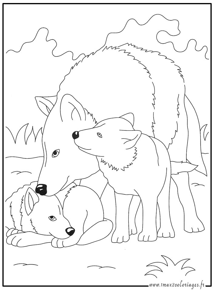 coloriage de loup rigolo