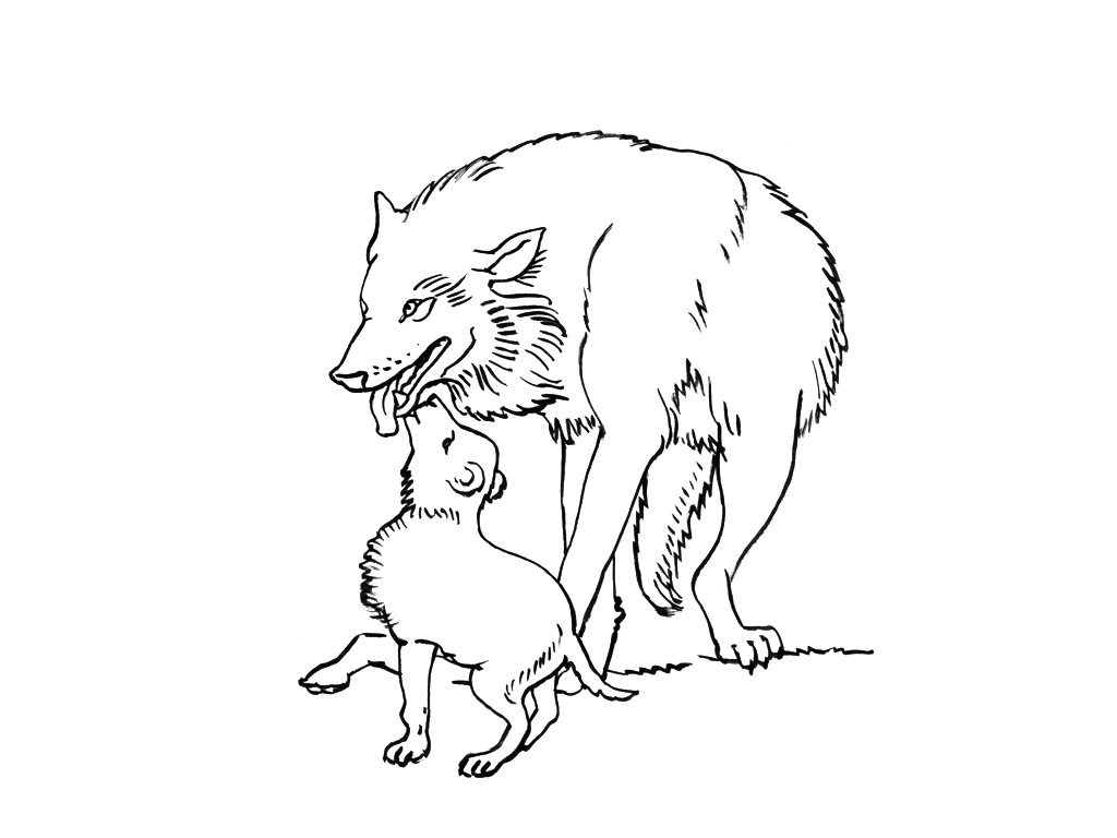 coloriage sur les loups Voir le dessin