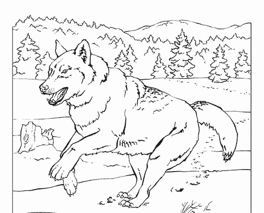 coloriage de loup rigolo