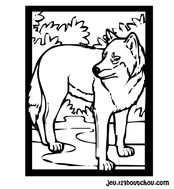 jeux coloriage  dessiner loup