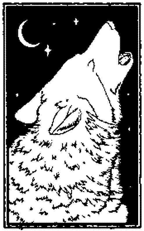 dessin magique loup
