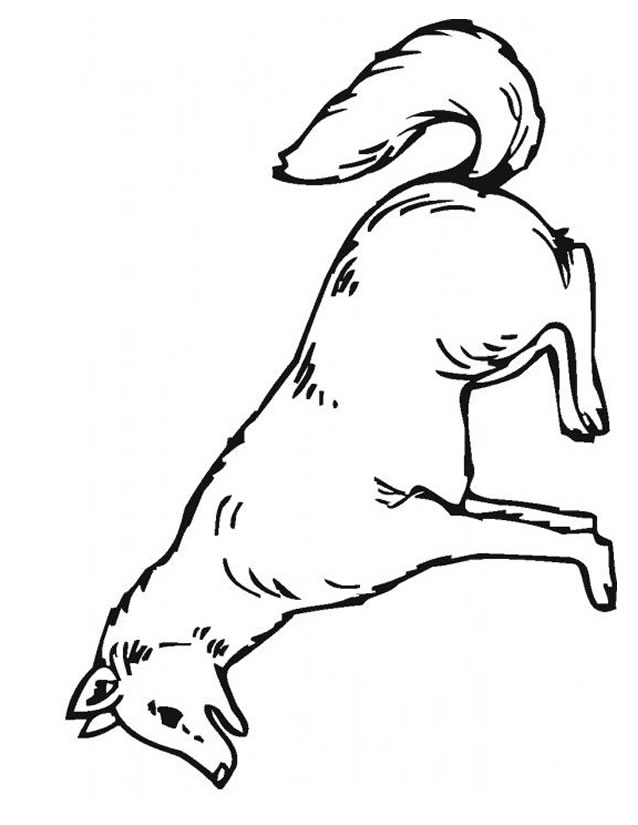 124 Dessins De Coloriage Loup à Imprimer