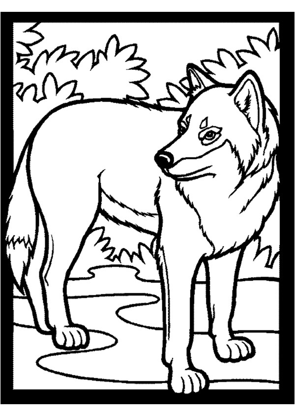 coloriage  dessiner du loup qui voulait changer de couleur