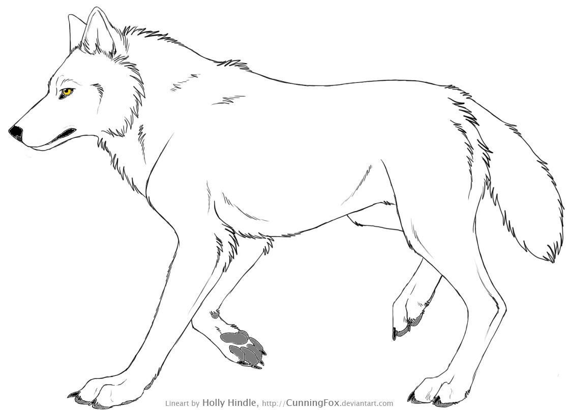 coloriage à dessiner loup orianne lallemand