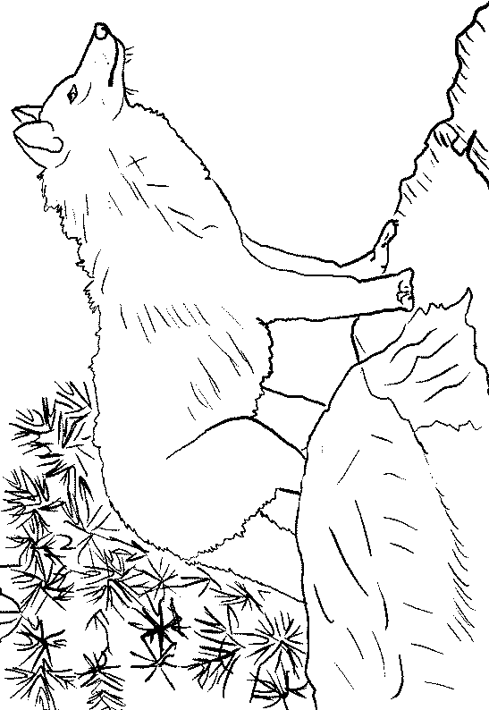 dessin loup à imprimer