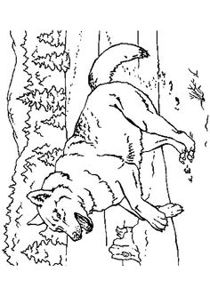 coloriage le loup et les sept cabris